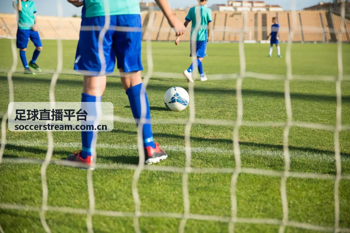 足球直播平台法国国家队